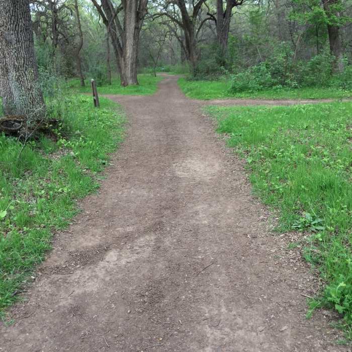 Near Bidwell Park - Lower Park Path