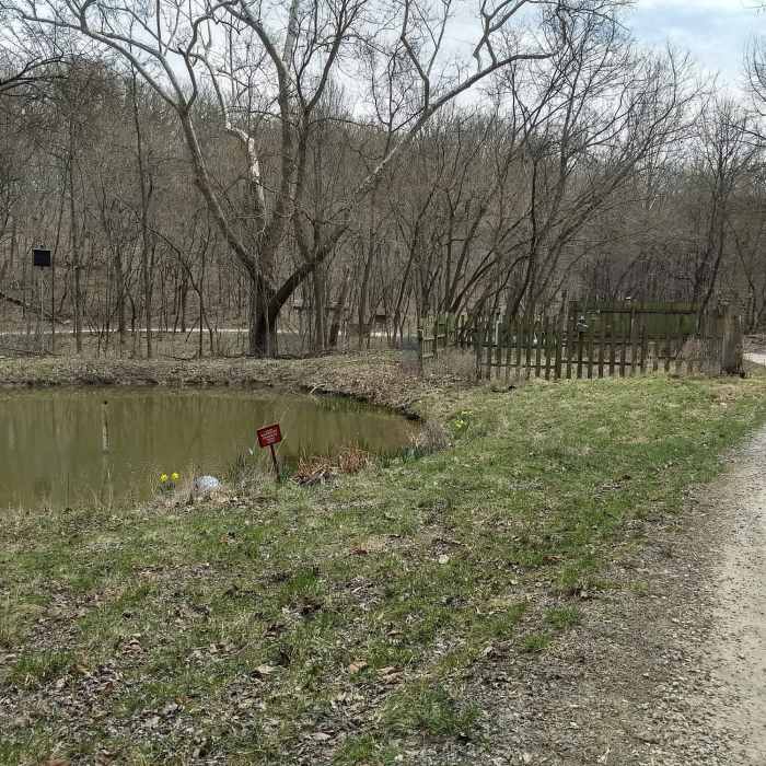 Near Meramec River Out-and-Back