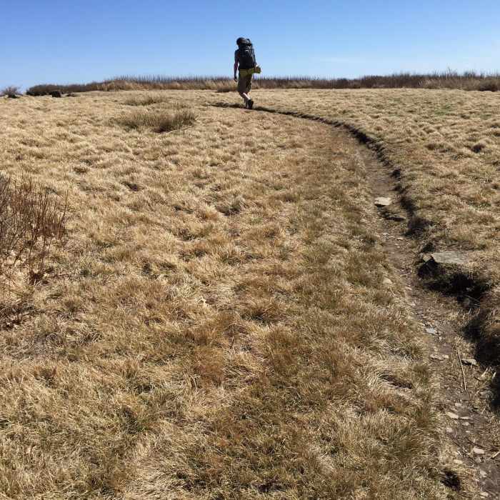 The trail leading to Gregory Bald. Little by little, the surrounding mountains show themselves as you get closer to the top. Near Gregory Bald Out and Back