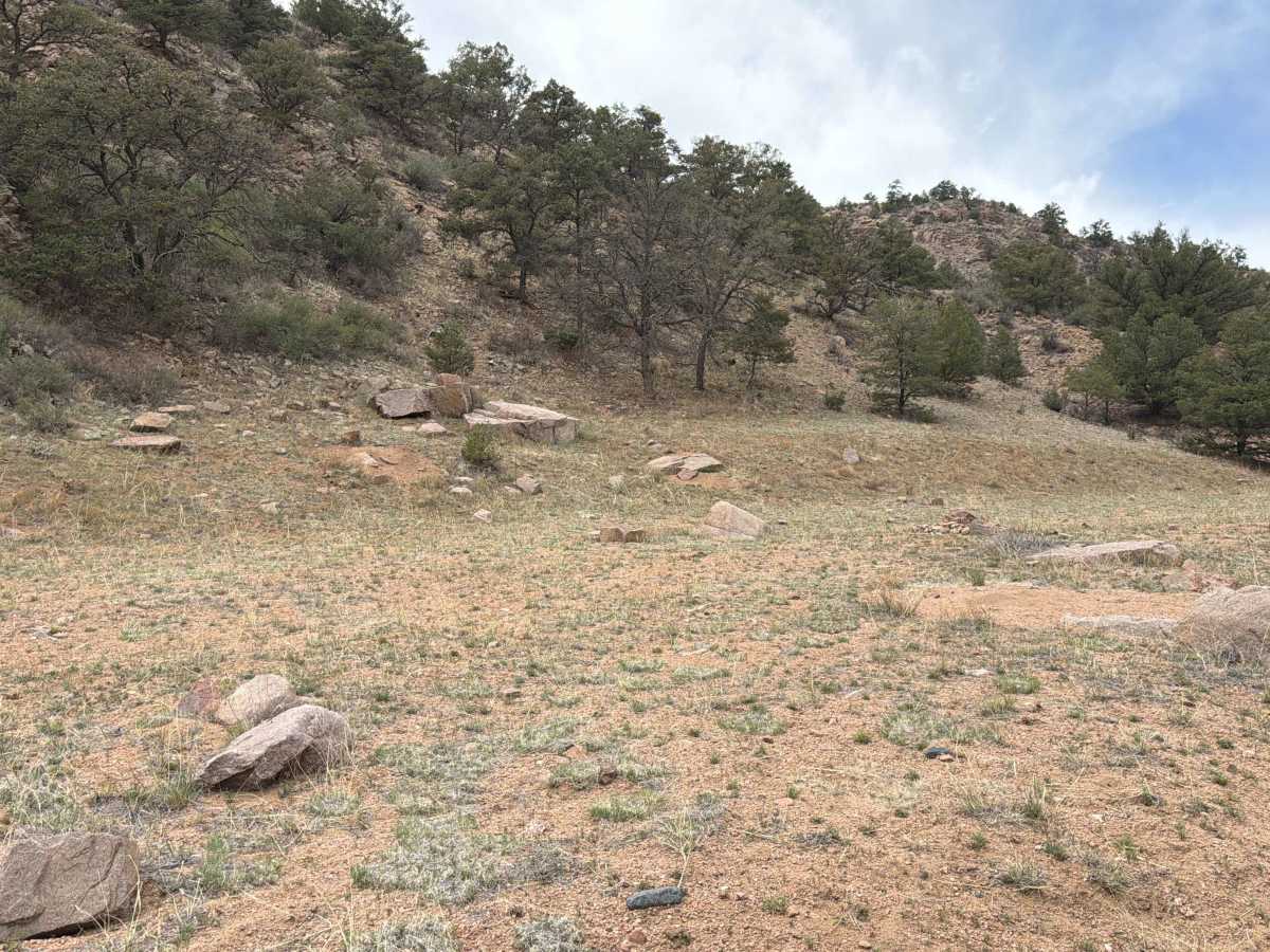 BLM 6024 photo 6
