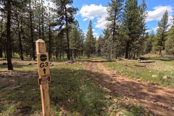 Trail G3