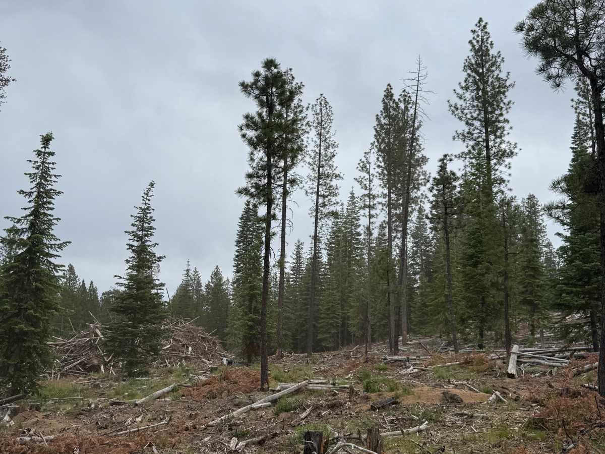 Big Spring Burn Road photo 3
