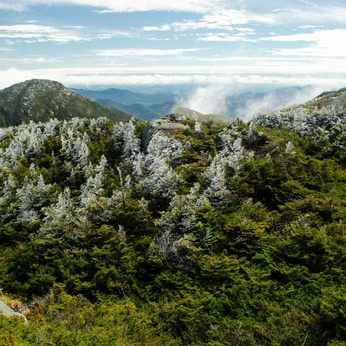 Near Mount Marcy, Mount Skylight + Gray Peak Loop Near Mount Marcy, Mount Skylight + Gray Peak Loop