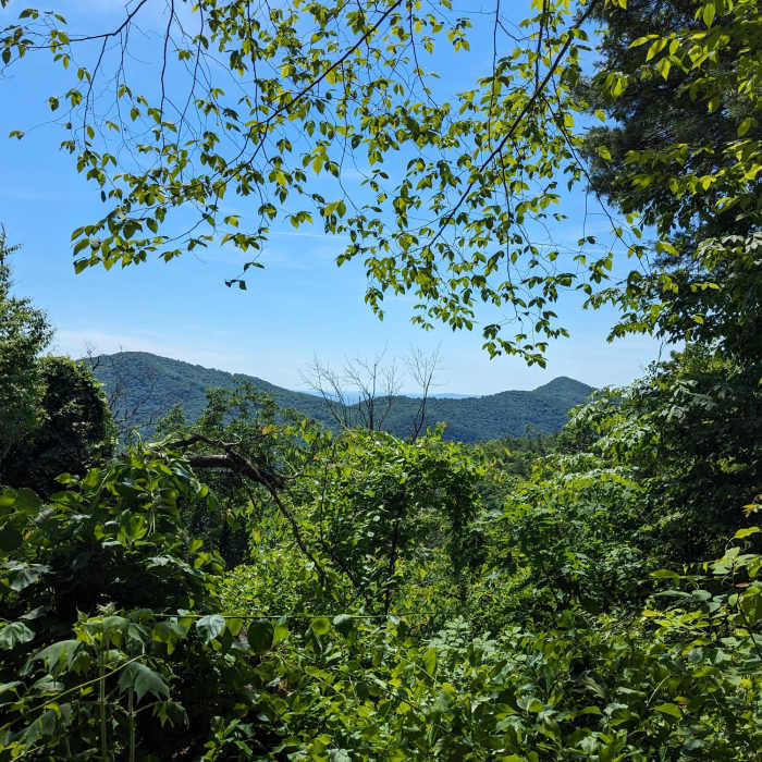 Near Little Flat Mountain Loop