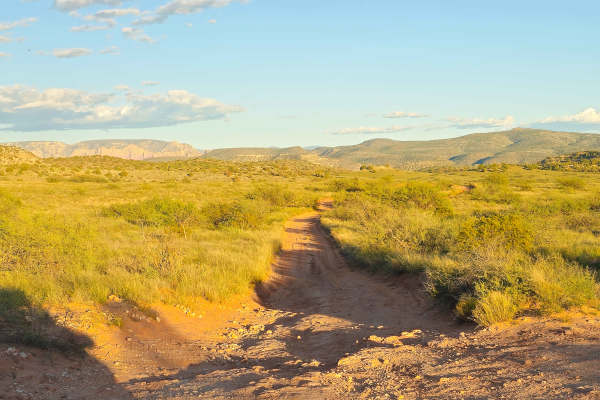 Sheepshead Trail - FS 9541