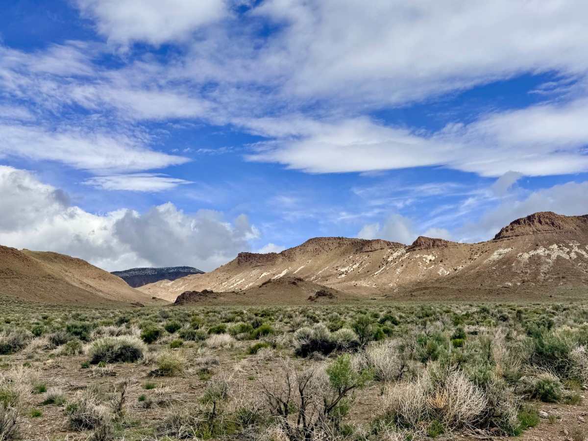 Saulsbury Wash - FS 44056 trail photo