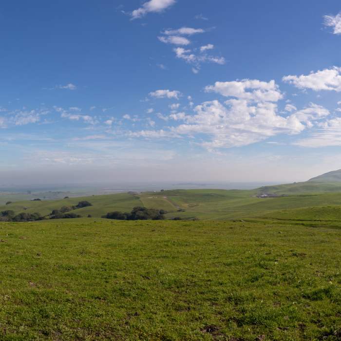 Near West Ridge Trail