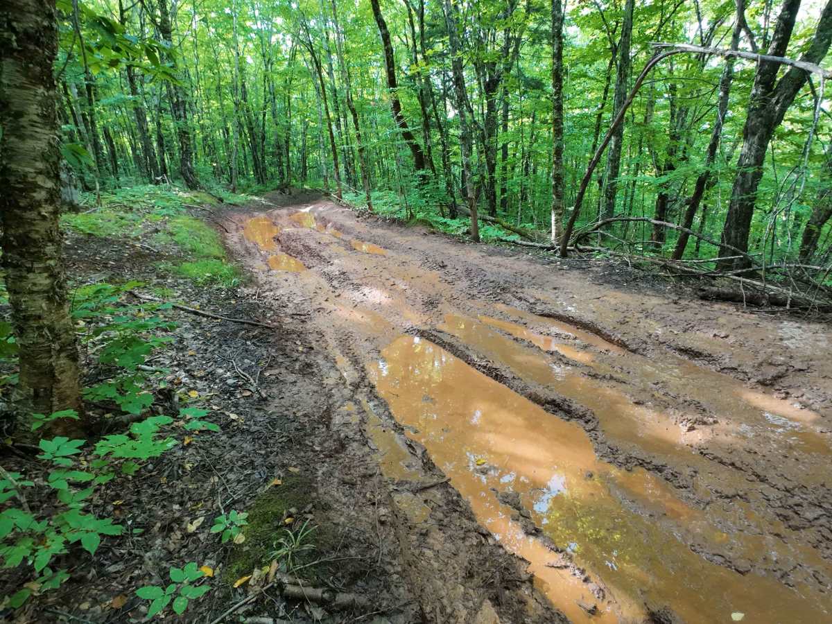 Mud Hill photo 2