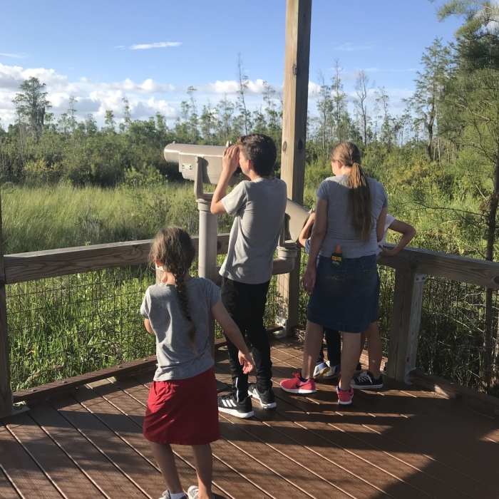 Near Chesser Island Boardwalk