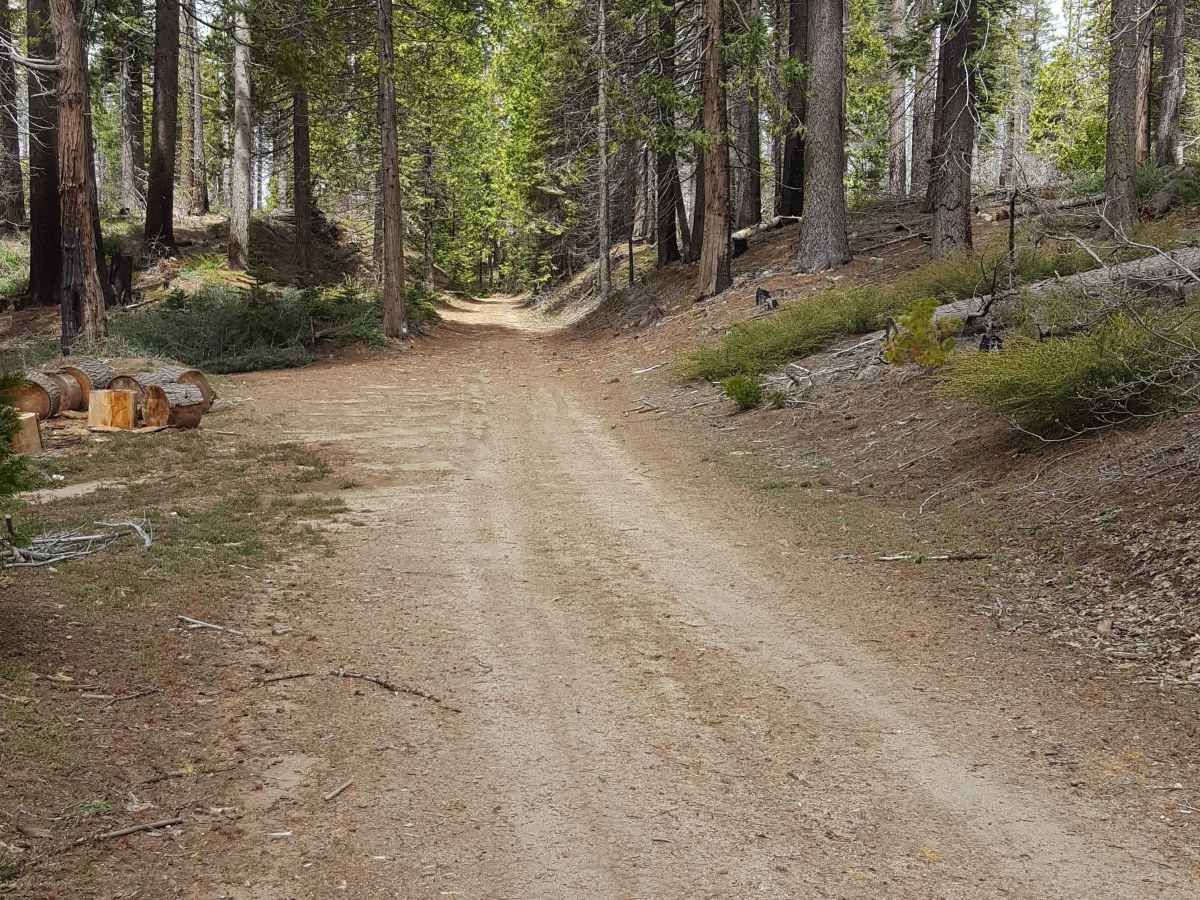 Ellis Meadow - FS 7S076 photo 2
