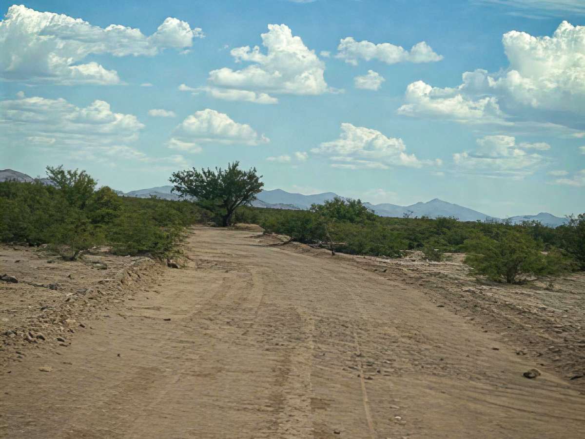SS1157 photo 2