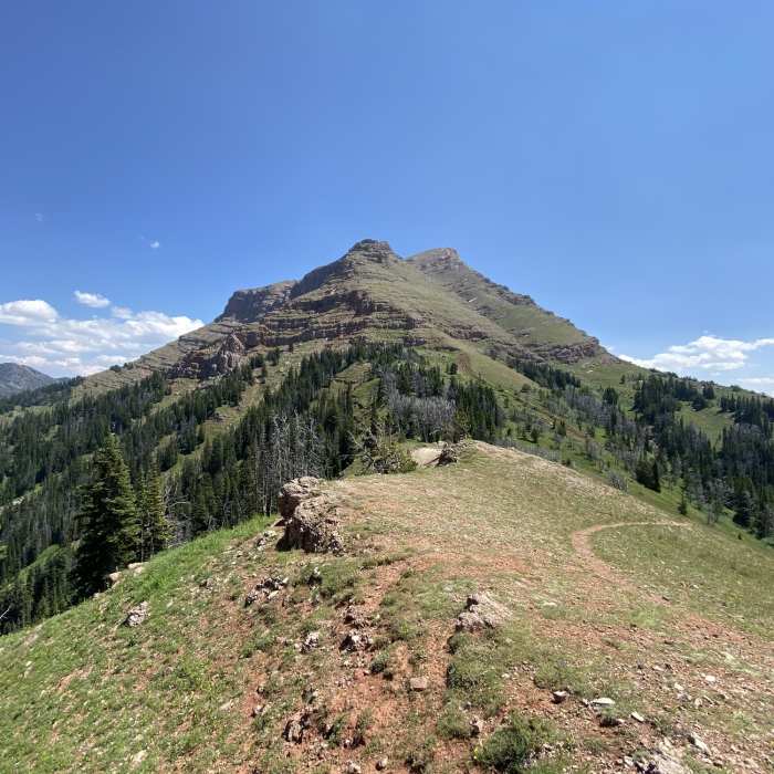 Near Sphinx Mountain