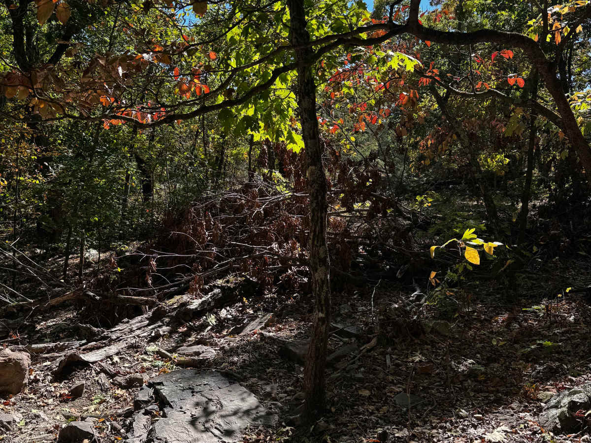 Wow Cut to Eastern trail photo