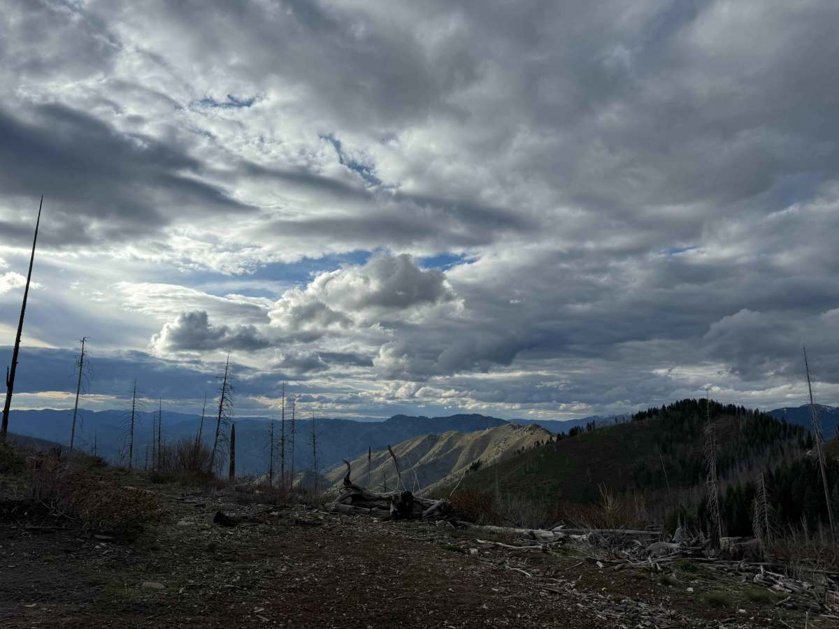 Phifer Creek Pass trail photo