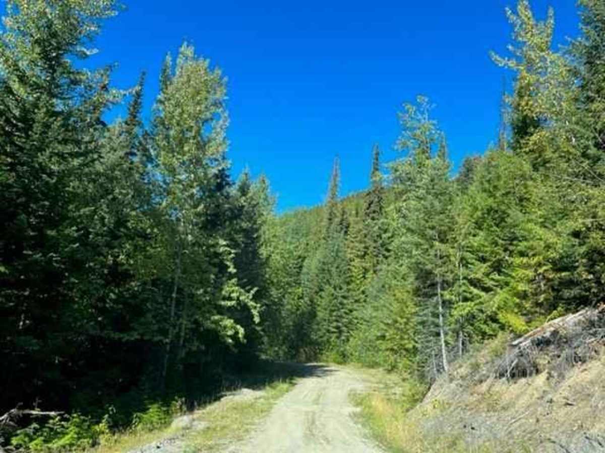 South Barriere Lake Road trail photo
