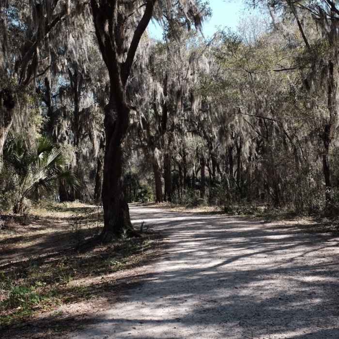 Near Lake Loop Trail