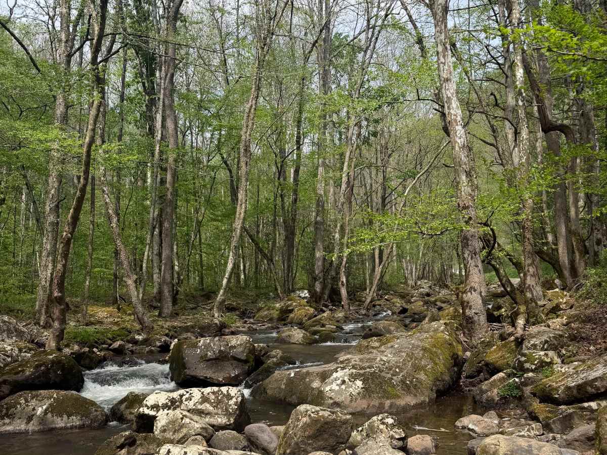 Tumbling Creek Road trail photo