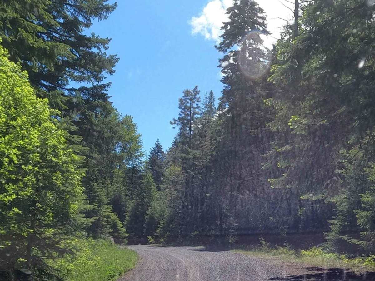 Miners Point -  NF3300-133 photo 4