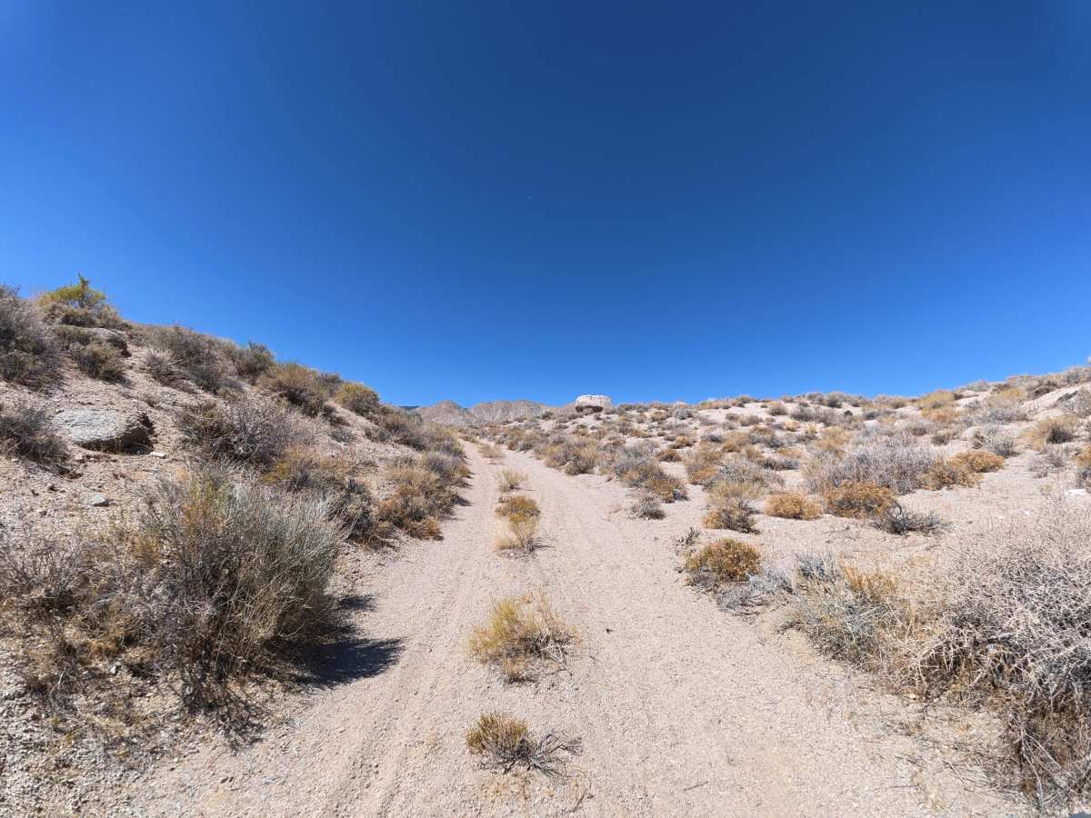 BLM 541 photo 3