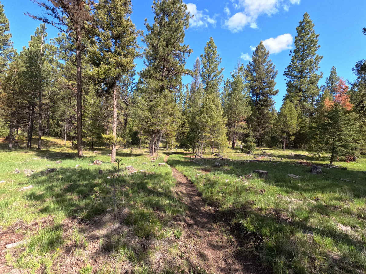 Trail 56 photo 2