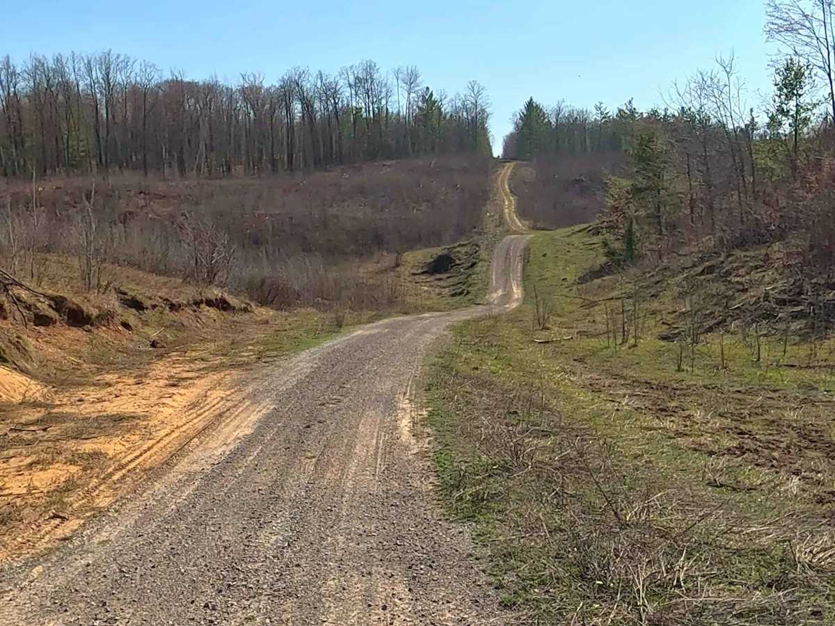 Marilyn Lane trail photo