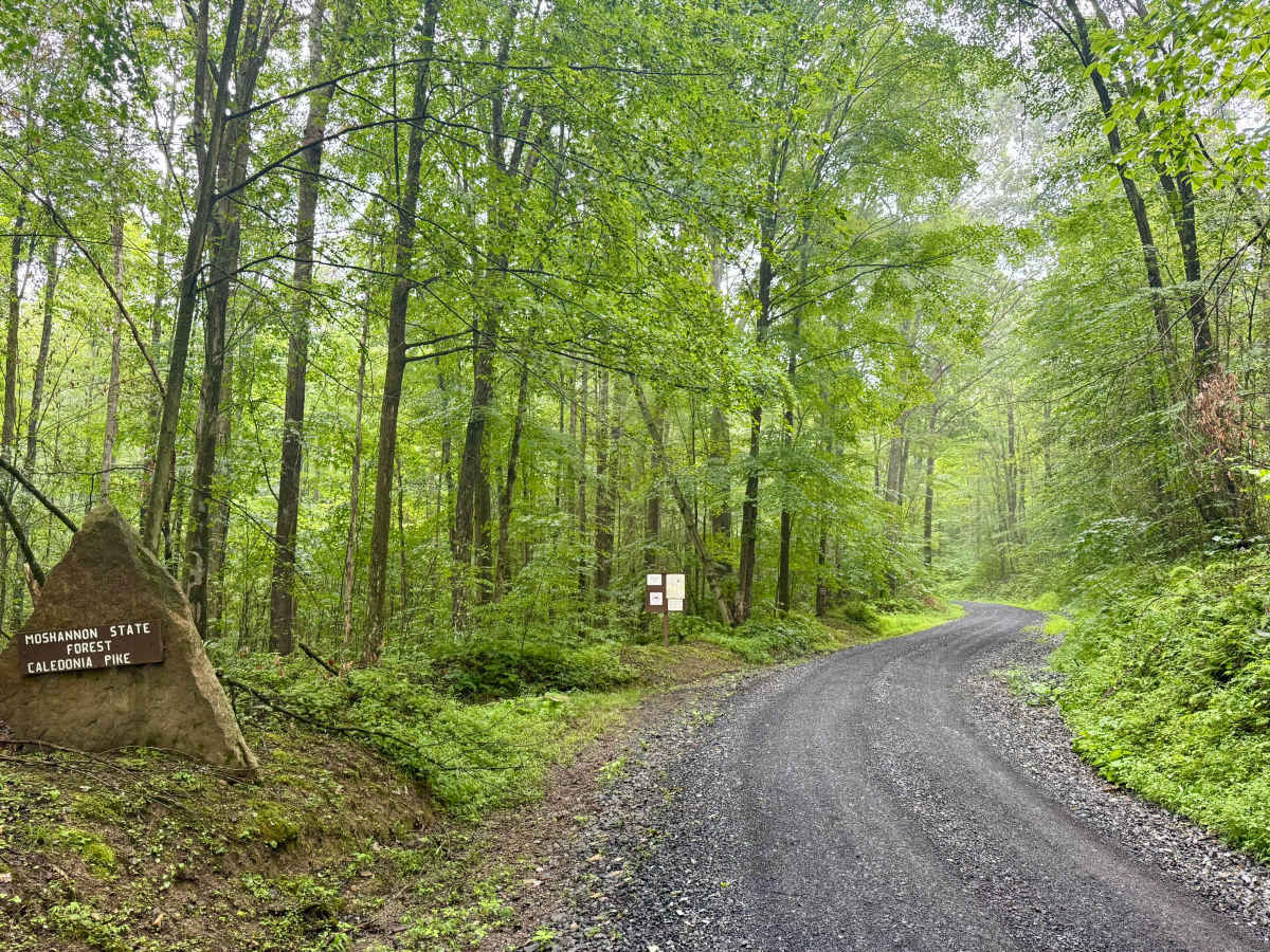 Caledonia Pike photo 3