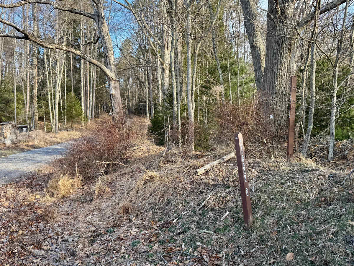 Cattaraugus Road photo 2
