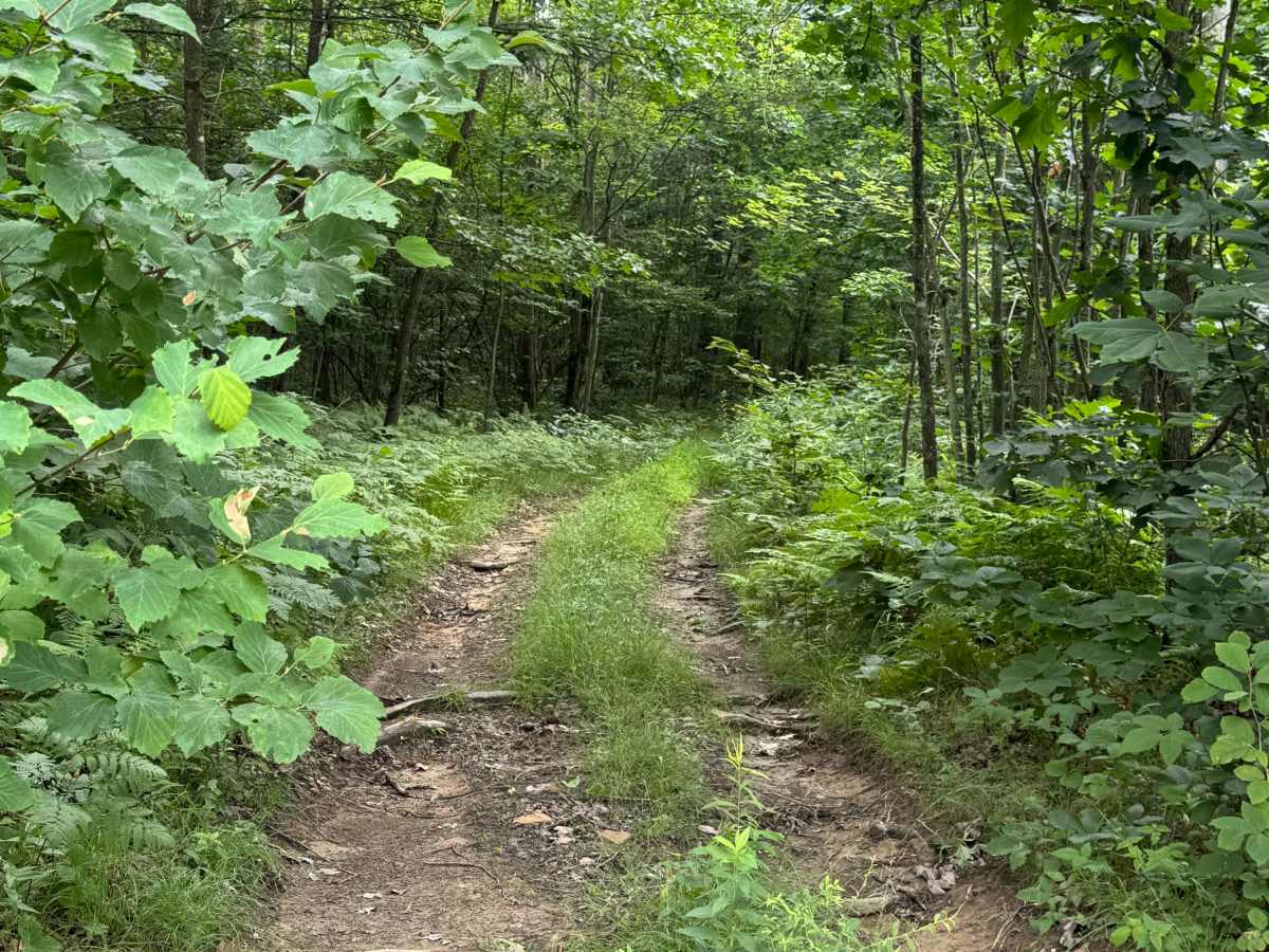 Trail 13 photo 2