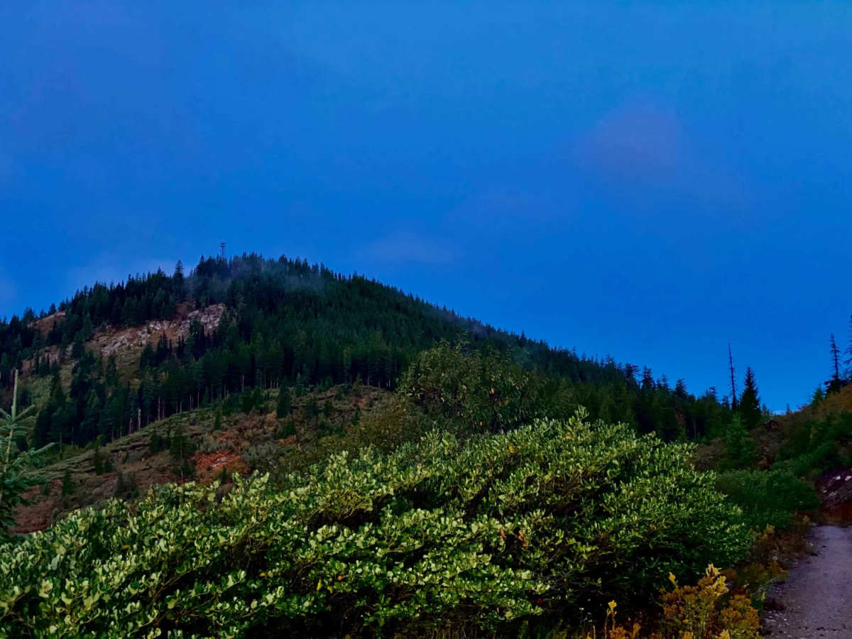 Elk Butte Lookout photo 5