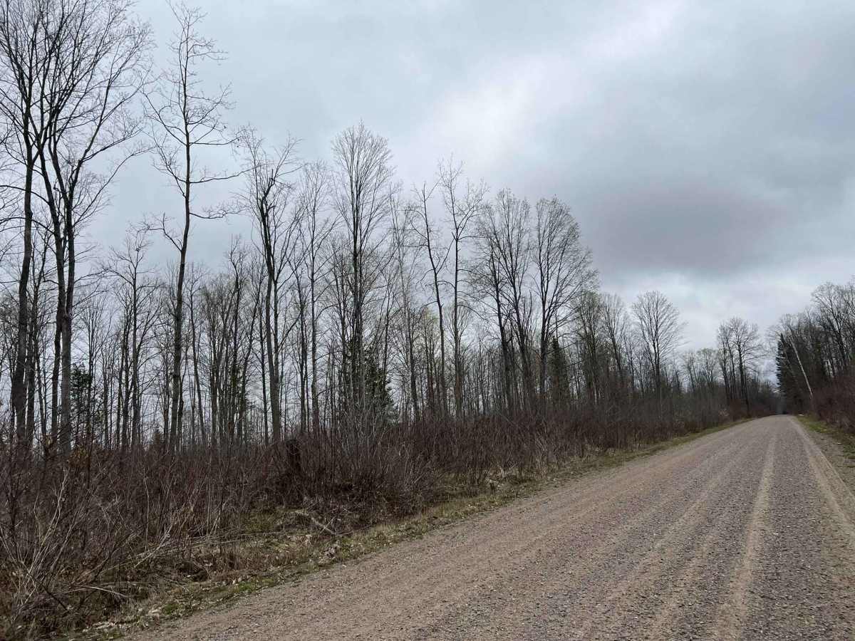 Saul Springs Road photo 6