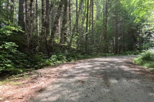 Fox Creek Ridge - FS 4698
