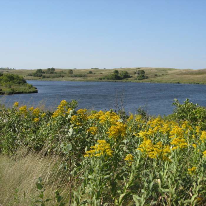 Near Clausen Springs Loop