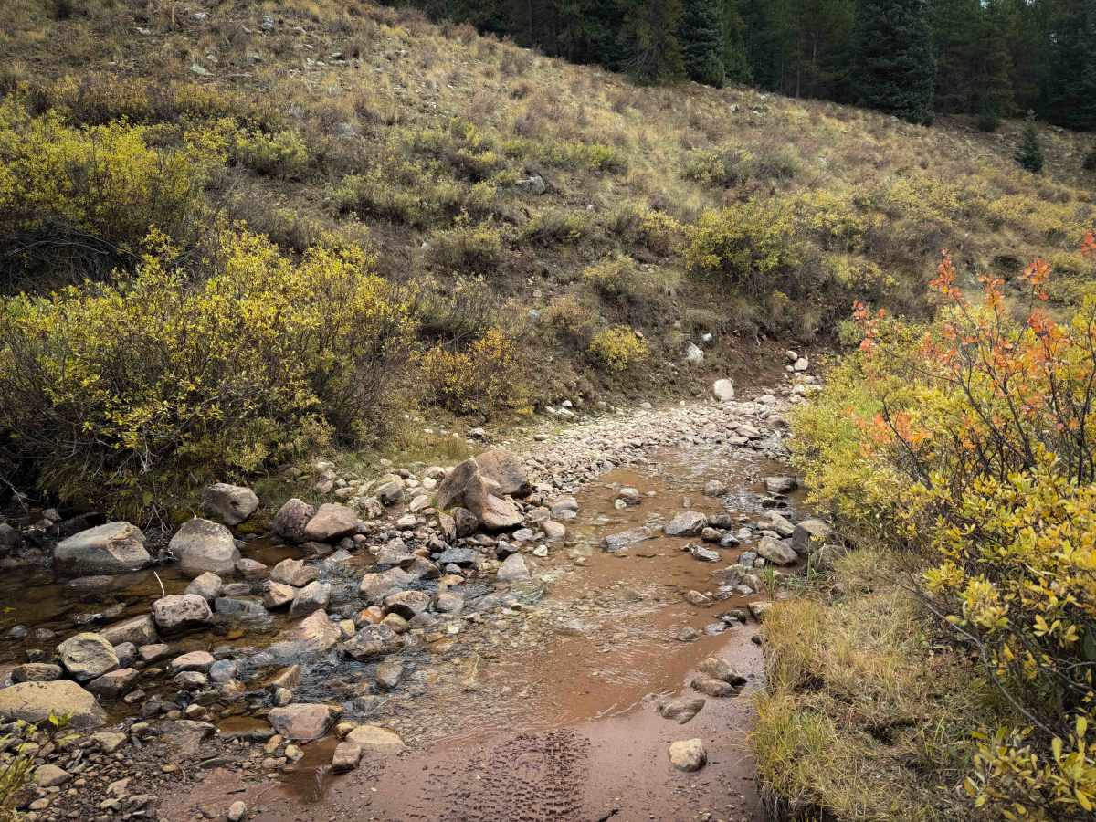 Flag Creek Trail - FS 422 photo 4
