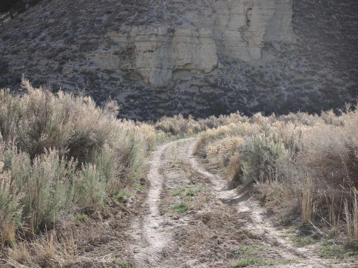 Bear Gulch - FS 10329 trail photo