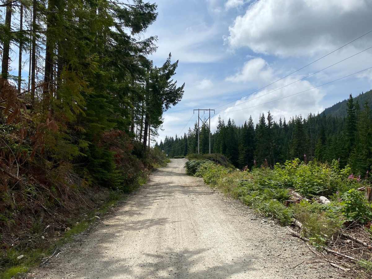 Richardson Lake Trail  photo 2