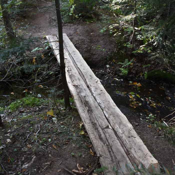 Near Hike to Yellow Dog Falls Near Hike to Yellow Dog Falls