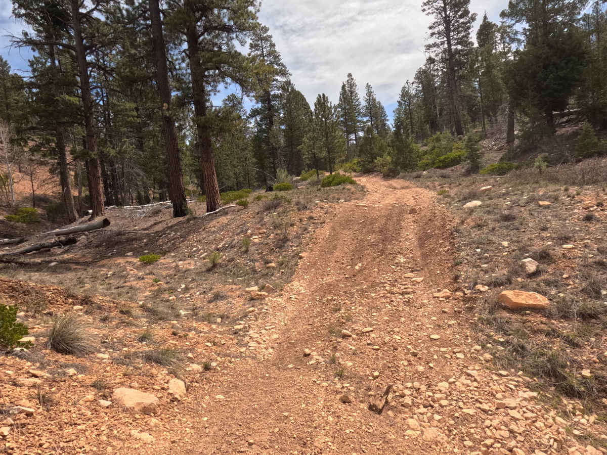 Ingram Hollow - FS 31129 photo 5