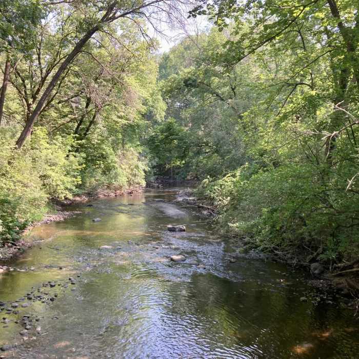 Near Rice Creek West Regional Trail Near Rice Creek West Regional Trail
