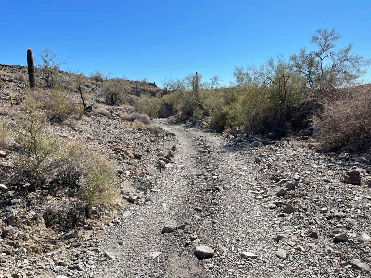 Michell Mine Road to Western Edge Trail photo 6