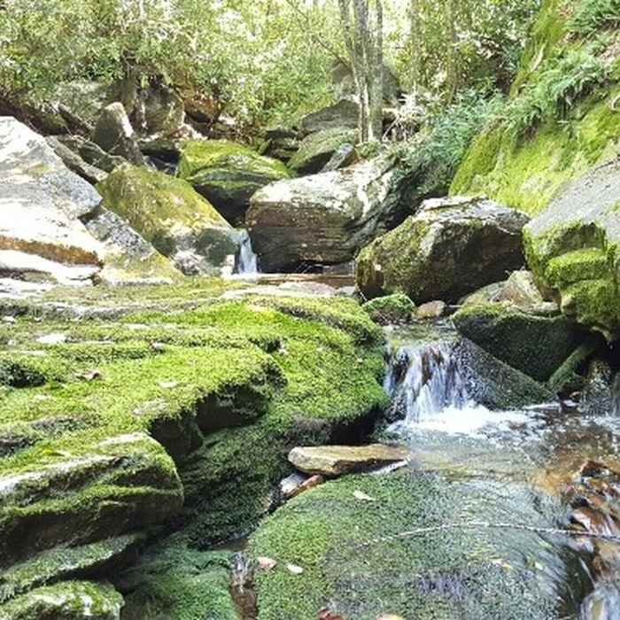 Near Duggers Creek Trail