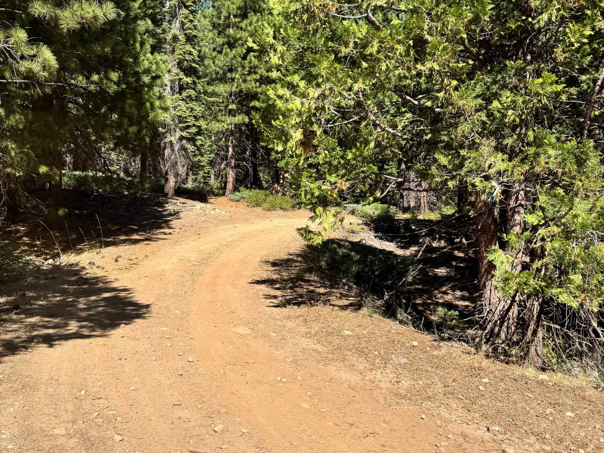 Old Strawberry Road Trail - FS 4N28Y photo 5