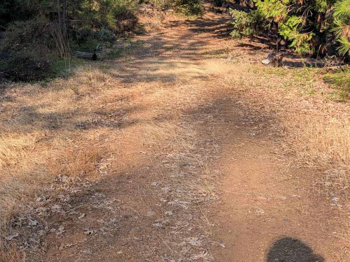 Post Road - FS 1N29 photo 5