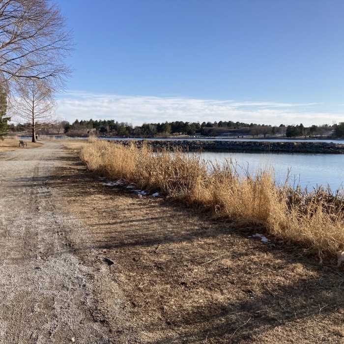 Near Holmes Lake Loop Trail Near Holmes Lake Loop Trail