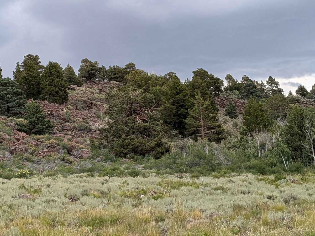 Pass Spur Road - FS 3108B photo 6