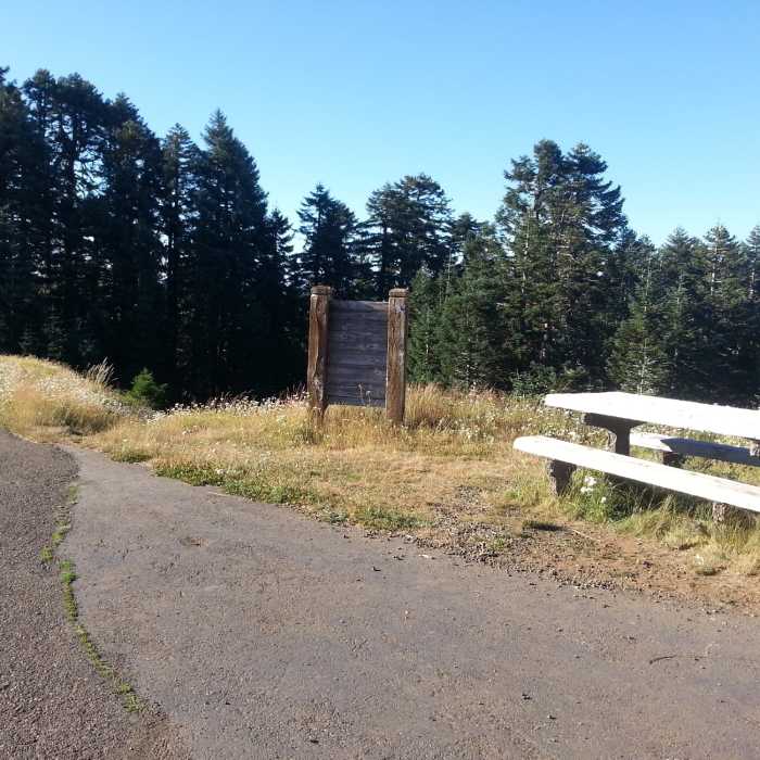 Near North Ridge Trail