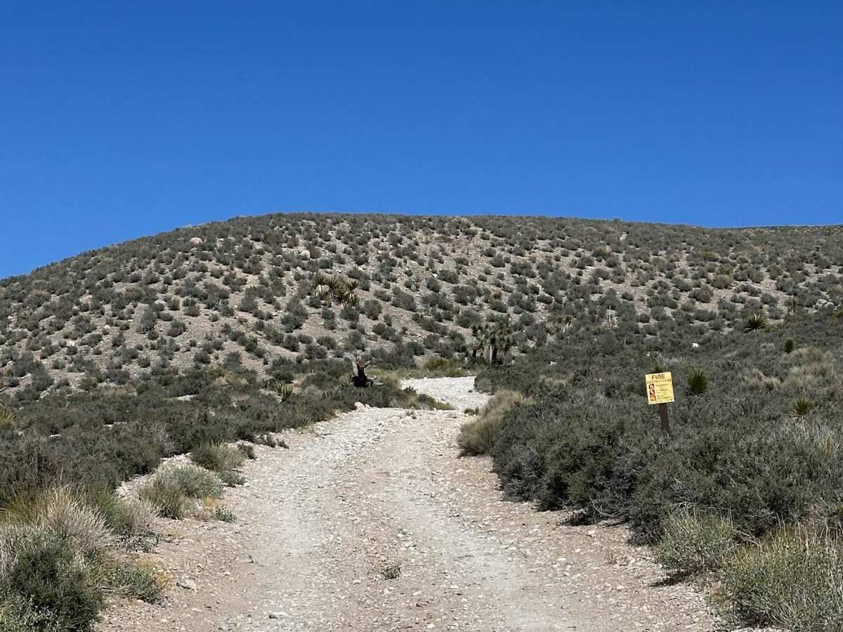 Monarch Flat - FS 3N36 photo 2