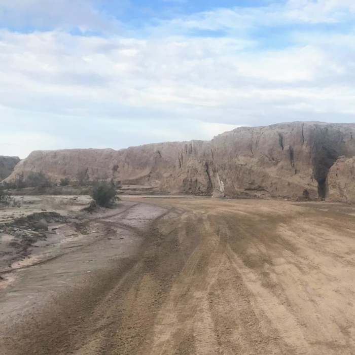 Near Arroyo Salado Loop