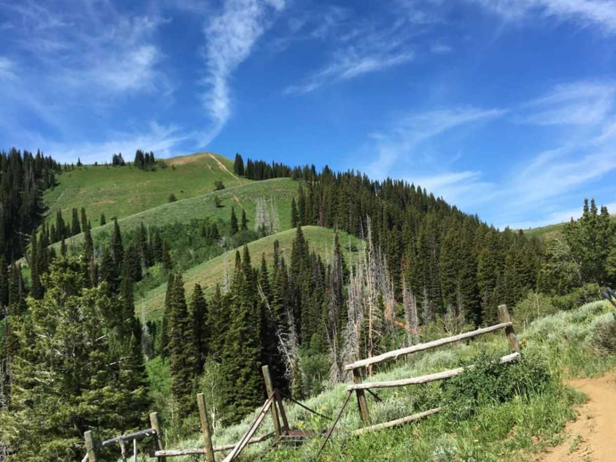 Big Hole Crest trail photo