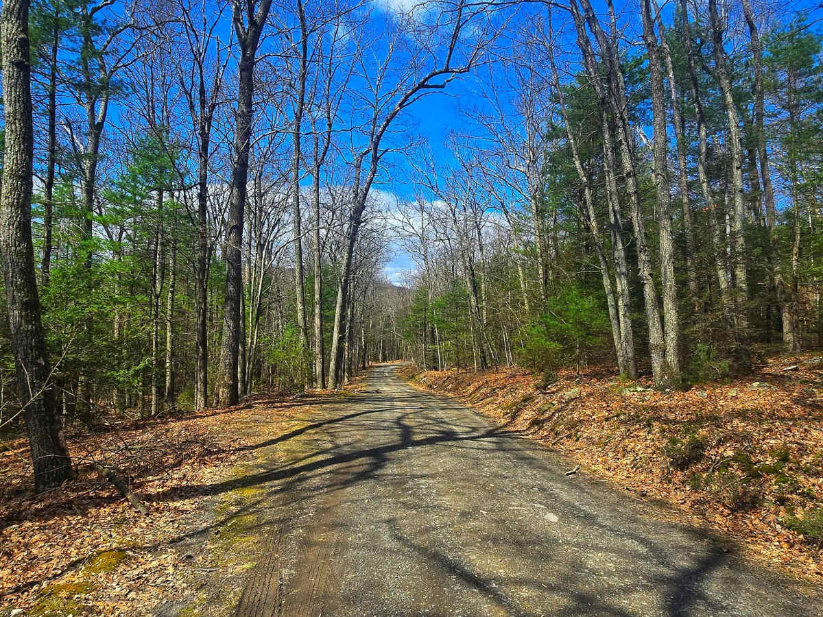 Three Springs Road photo 2