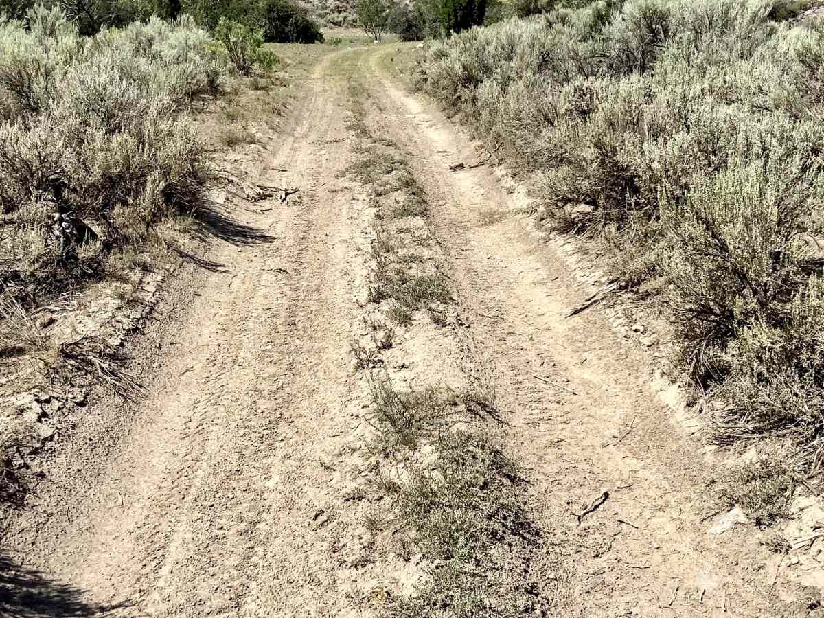 Deer Creek Trail photo 3